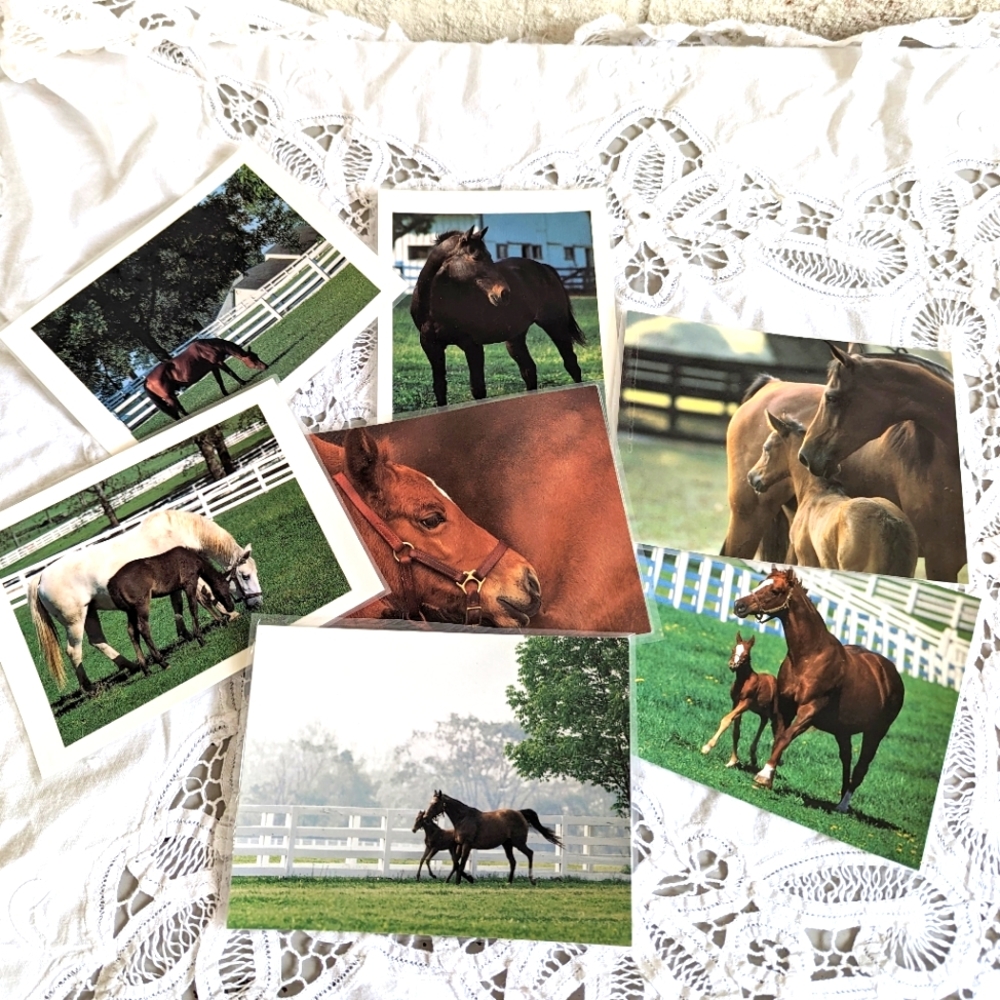 Horse Photography Equestrian Ephemera Laminated Postcard Prints (7) Kentucky